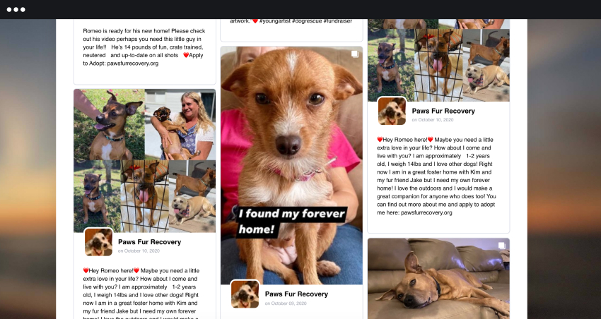 Free Social Media Feeds For Your&nbsp;Website